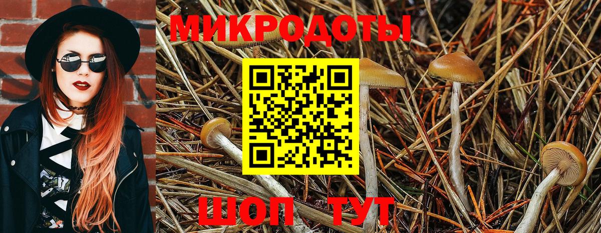 Павлово  Псилоцибиновые грибы Psilocybine cubensis  Псилоцибиновые грибы Cubensis  Вход с VPN 