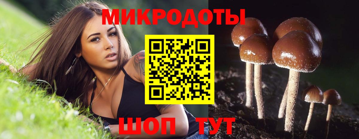 Галлюциногенные грибы Psilocybe Павлово